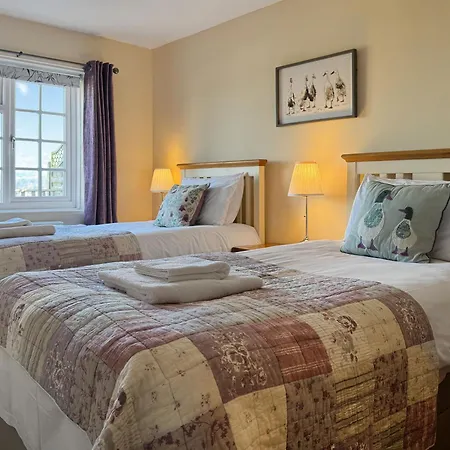 Primrose - Uk49219 *